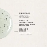 Pate Grise Purifying Foaming Cleanser view 2