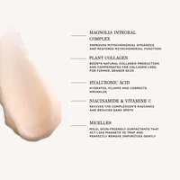Supreme Absolu Youth Gel in Foam Cleanser view 4